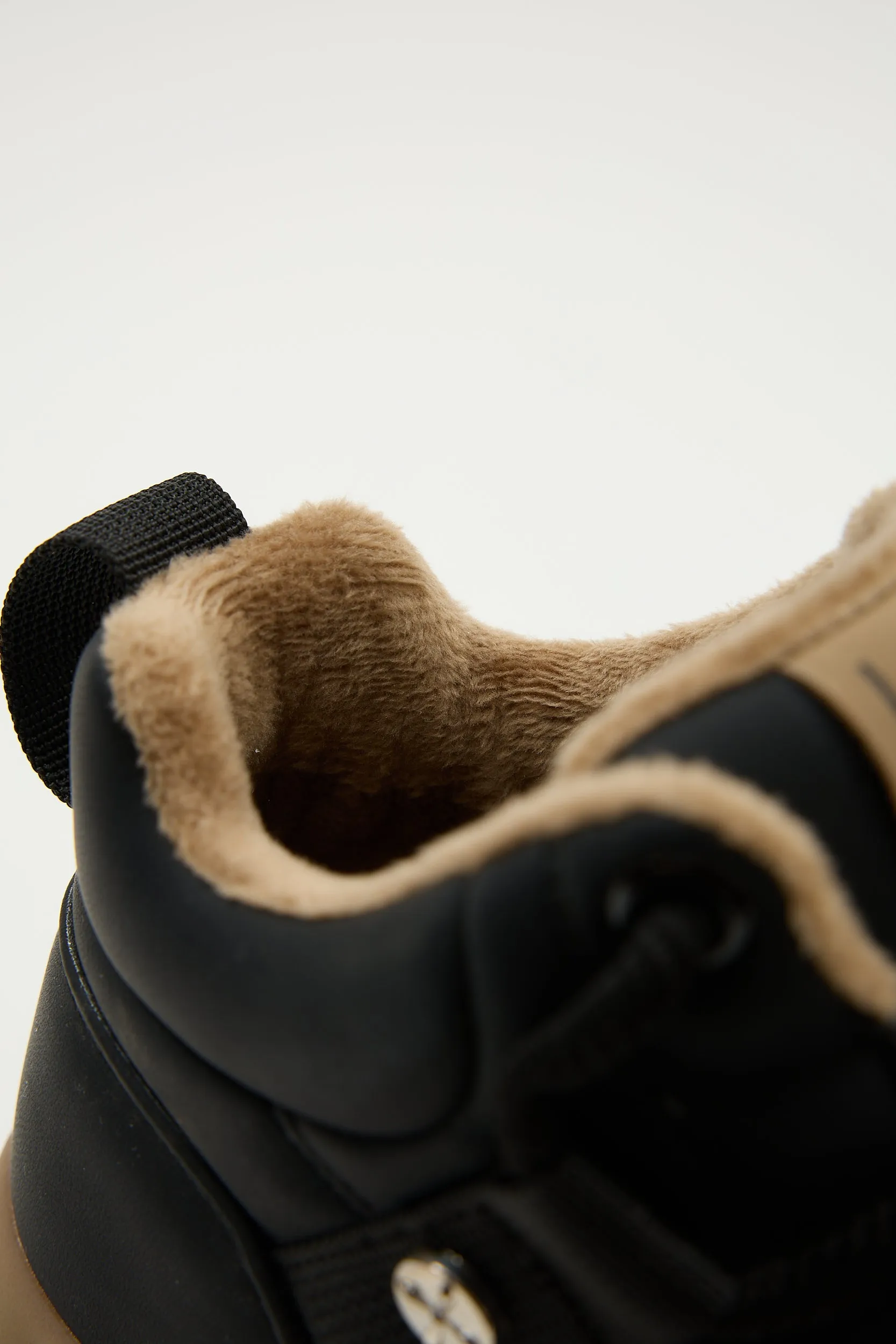 Obelia Black