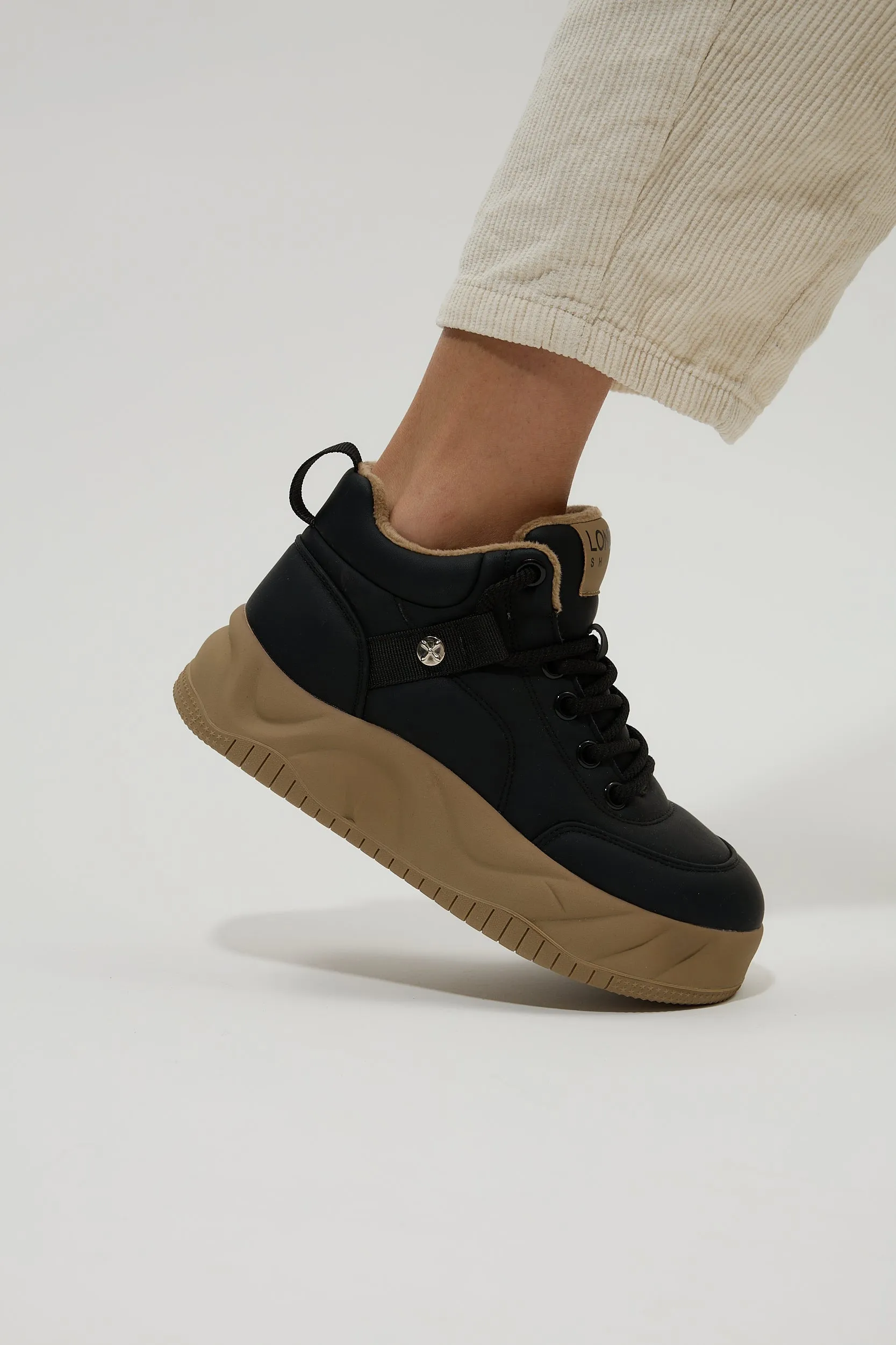 Obelia Black