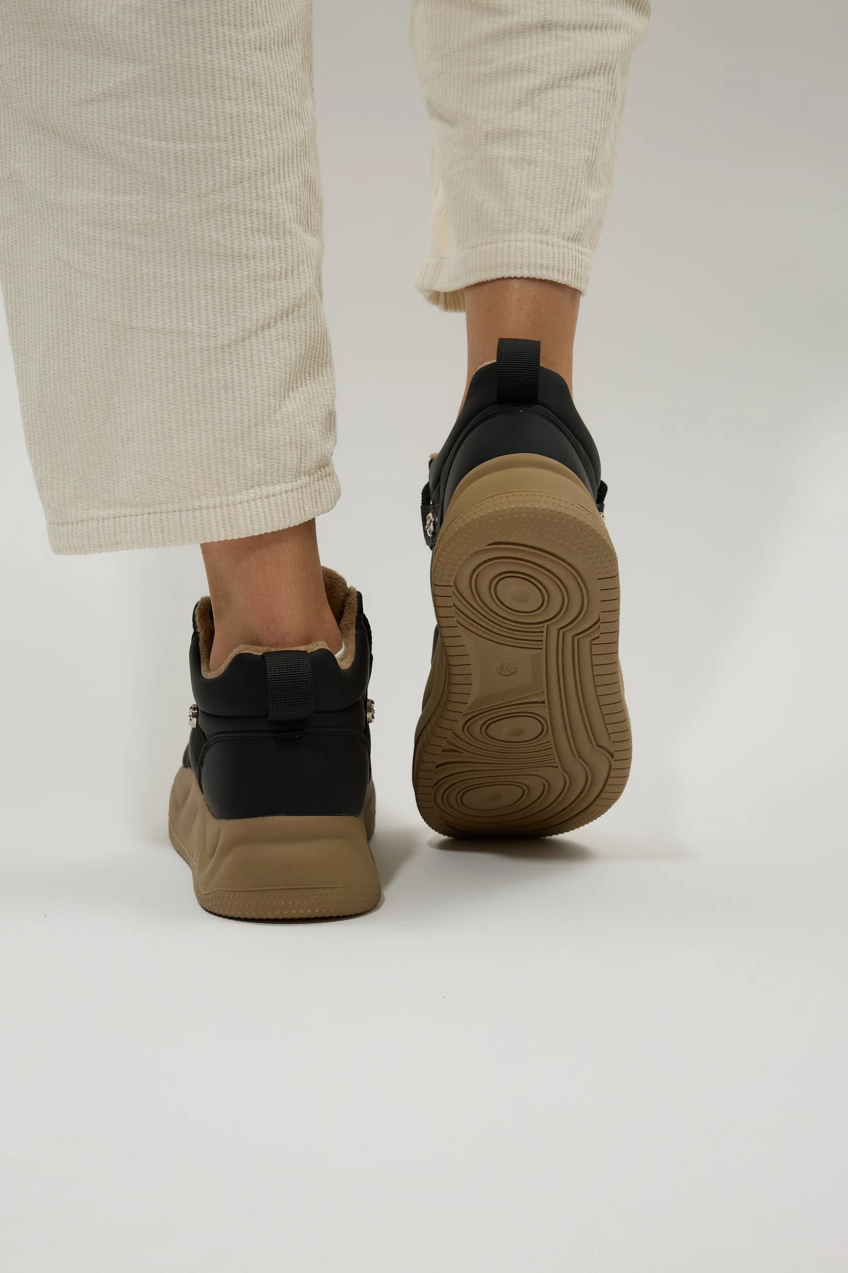 Obelia Black