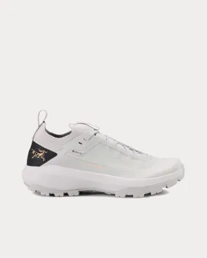Vertex Alpine GTX Solitude / Graphite Running Shoes